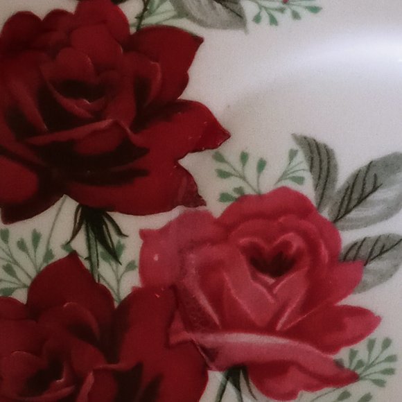 Royal Albert Bone China England Footed Tea Cup & Saucer Rose - Picture 6 of 6